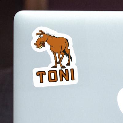 Toni Sticker Pferd Laptop Toni Sticker Pferd Laptop Image