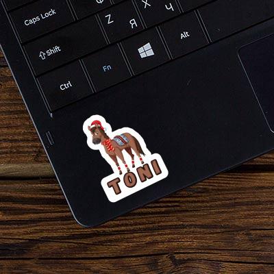 Weihnachtspferd Sticker Toni Notebook Weihnachtspferd Sticker Toni Gift package Image