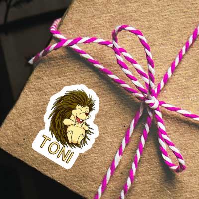Igel Aufkleber Toni Notebook Image