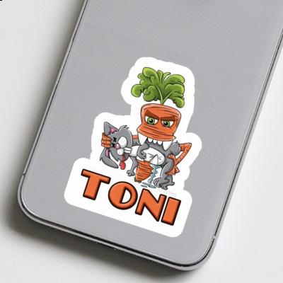 Carotte monstre Autocollant Toni Gift package Image