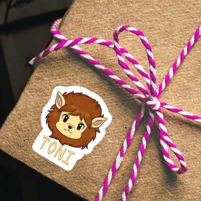 Autocollant Tête de lion Toni Gift package Image