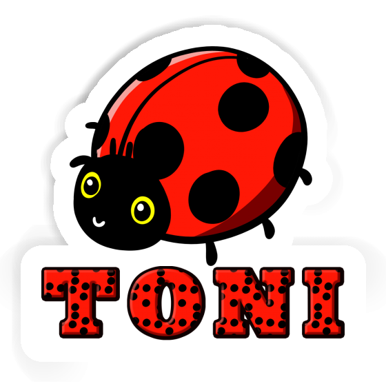 Marienkäfer Sticker Toni Gift package Image