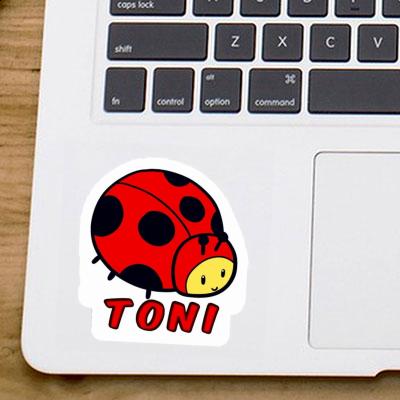 Sticker Toni Ladybug Gift package Image