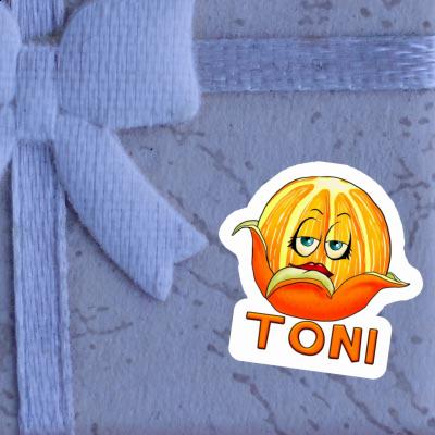Sticker Orange Toni Notebook Sticker Orange Toni Gift package Image