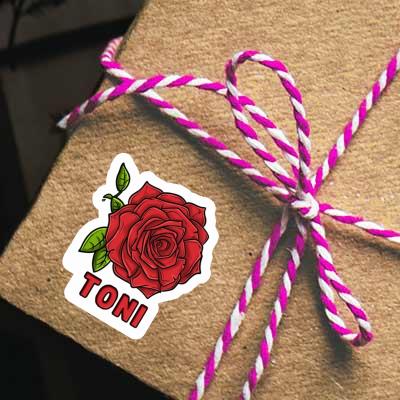 Rosenblüte Aufkleber Toni Notebook Rosenblüte Aufkleber Toni Gift package Image