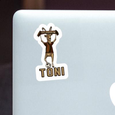 Toni Sticker Capricorn Gift package Image