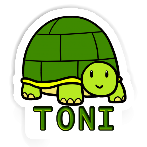 Autocollant Tortue Toni Gift package Image