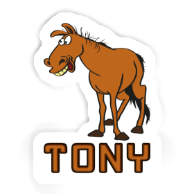 Tony Autocollant Cheval Image