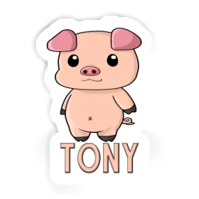 Piggy Sticker Tony Image