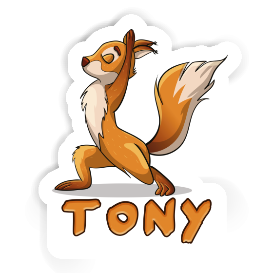 Sticker Yoga Squirrel Tony Notebook Sticker Yoga Squirrel Tony Gift package Image
