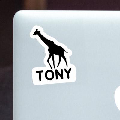 Autocollant Girafe Tony Gift package Image