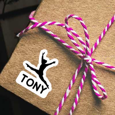 Aufkleber Gymnastin Tony Laptop Aufkleber Gymnastin Tony Laptop Image