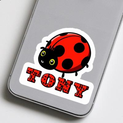 Coccinelle Autocollant Tony Gift package Image