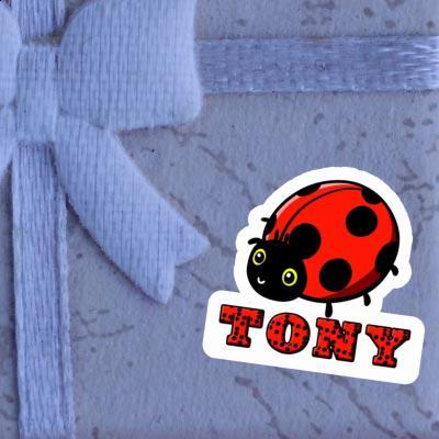Coccinelle Autocollant Tony Gift package Image