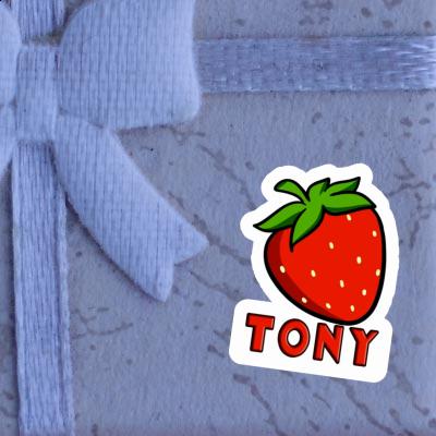 Erdbeere Aufkleber Tony Notebook Erdbeere Aufkleber Tony Gift package Image