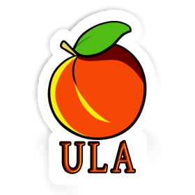 Ula Sticker Apricot Image