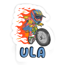 Ula Sticker Downhiller Image