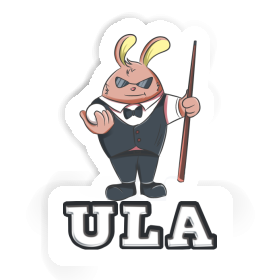 Sticker Billiards Player Ula Image