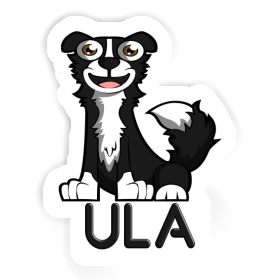 Border Collie Sticker Ula Image