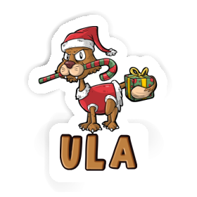 Christmas Cat Sticker Ula Image