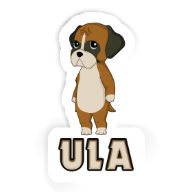 Ula Aufkleber Boxer Image