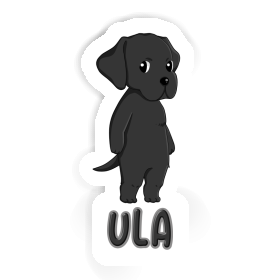 Sticker Labrador Ula Image