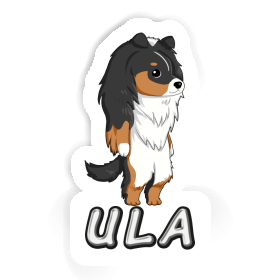 Sticker Sheltie Ula Image