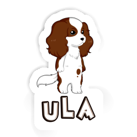 Cavalier King Charles Spaniel Sticker Ula Image