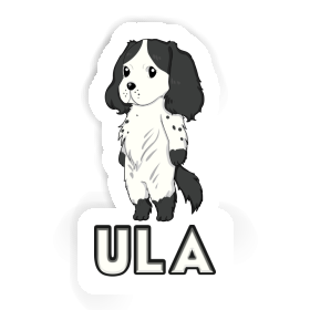 Sticker English Cocker Spaniel Ula Image