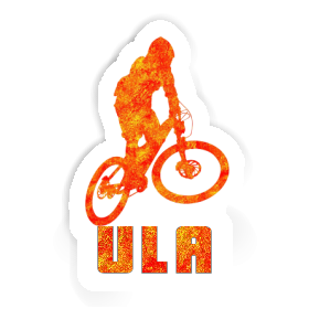 Sticker Downhiller Ula Image