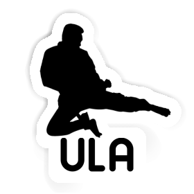 Karateka Sticker Ula Image