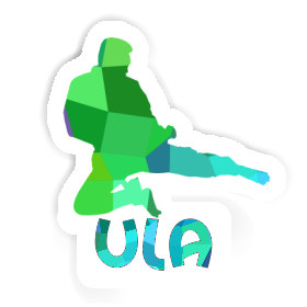 Karateka Sticker Ula Image