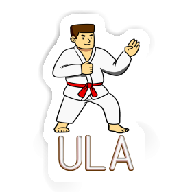 Karateka Sticker Ula Image