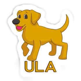 Sticker Labrador Ula Image