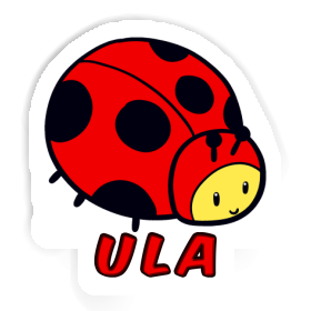 Ladybug Sticker Ula Image