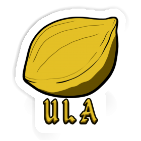 Ula Sticker Nut Image