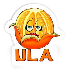 Orange Sticker Ula Image