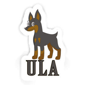 Sticker Ula Pinscher Image