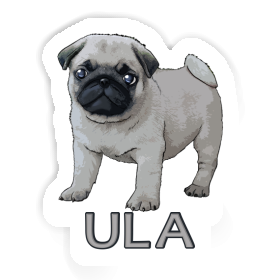 Sticker Ula Pug Image