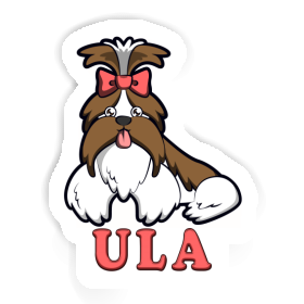 Sticker Shih Tzu Ula Image