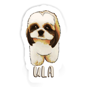 Shih Tzu Aufkleber Ula Image