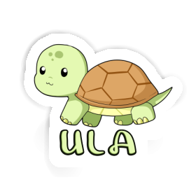 Ula Sticker Turtle Image