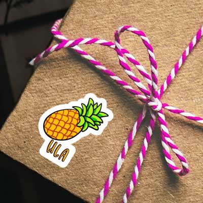 Pineapple Sticker Ula Notebook Image