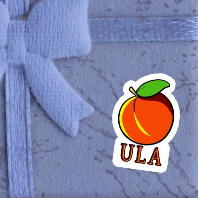 Ula Sticker Apricot Gift package Image