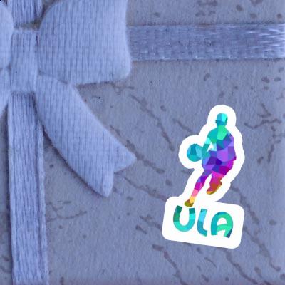 Basketball Player Sticker Ula Gift package Image