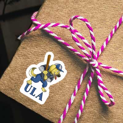 Ula Sticker Dog Gift package Image