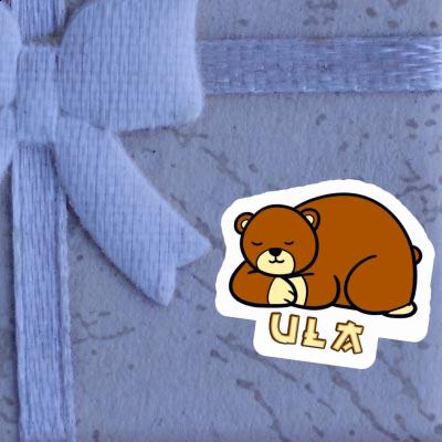 Sticker Ula Bear Notebook Image