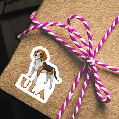 Autocollant Ula Beagle Gift package Image