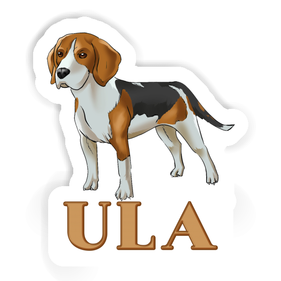 Beagle Hund Aufkleber Ula Gift package Image