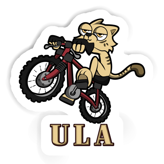 Ula Aufkleber Fahrradkatze Gift package Image